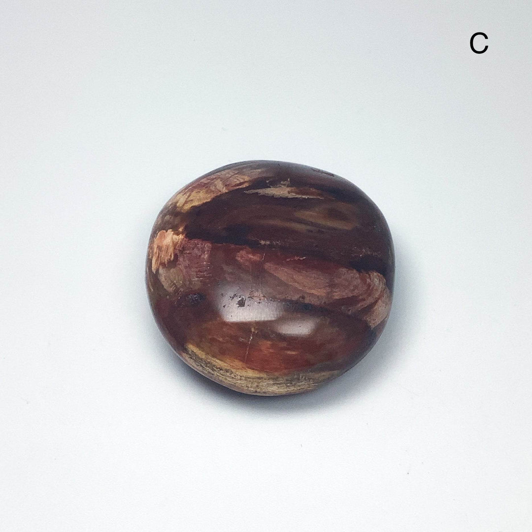 Petrified Wood Tumble Large - Rocks and Gems Canada