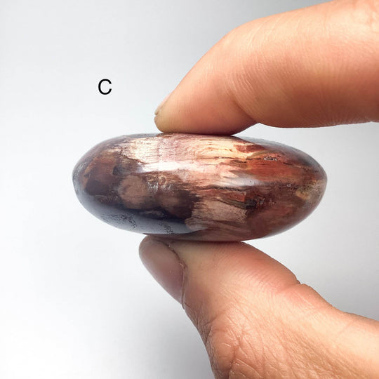 Petrified Wood Tumble Large - Rocks and Gems Canada