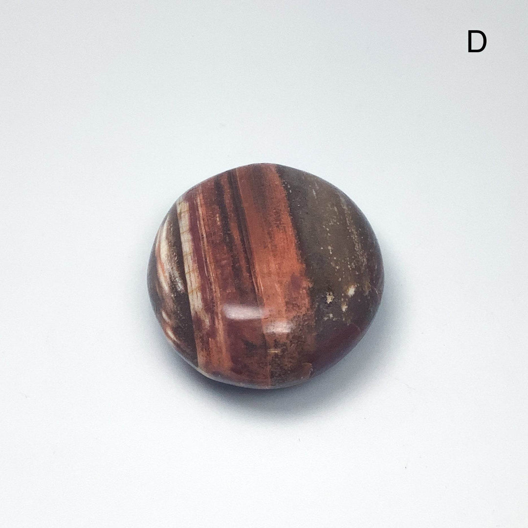 Petrified Wood Tumble Large - Rocks and Gems Canada