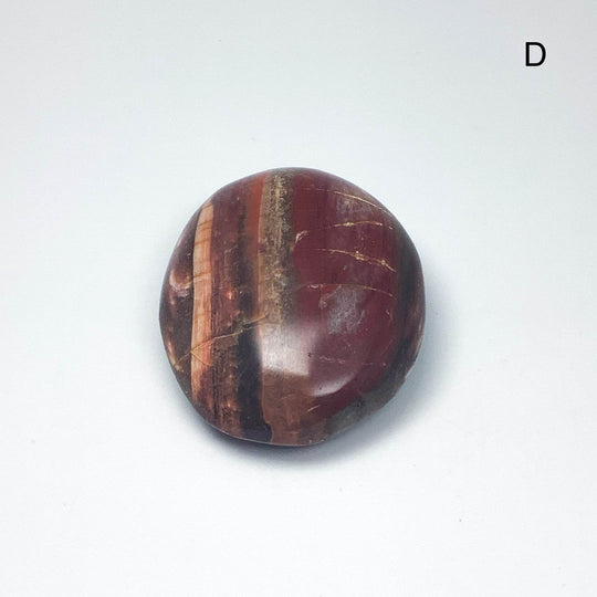 Petrified Wood Tumble Large - Rocks and Gems Canada