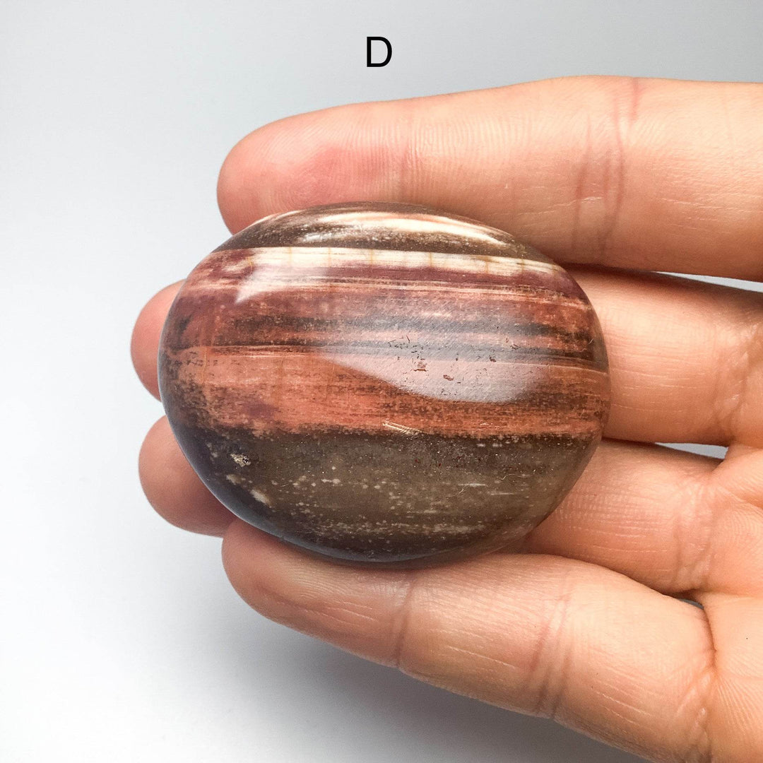 Petrified Wood Tumble Large - Rocks and Gems Canada