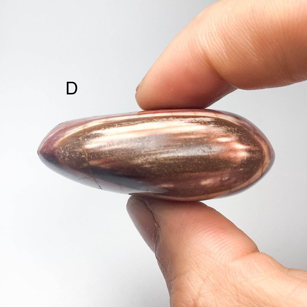 Petrified Wood Tumble Large - Rocks and Gems Canada