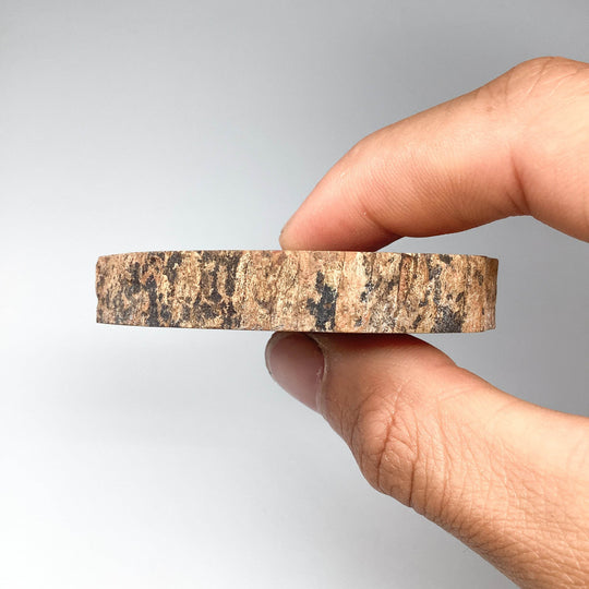 Petrified Wood Slice - Rocks and Gems Canada