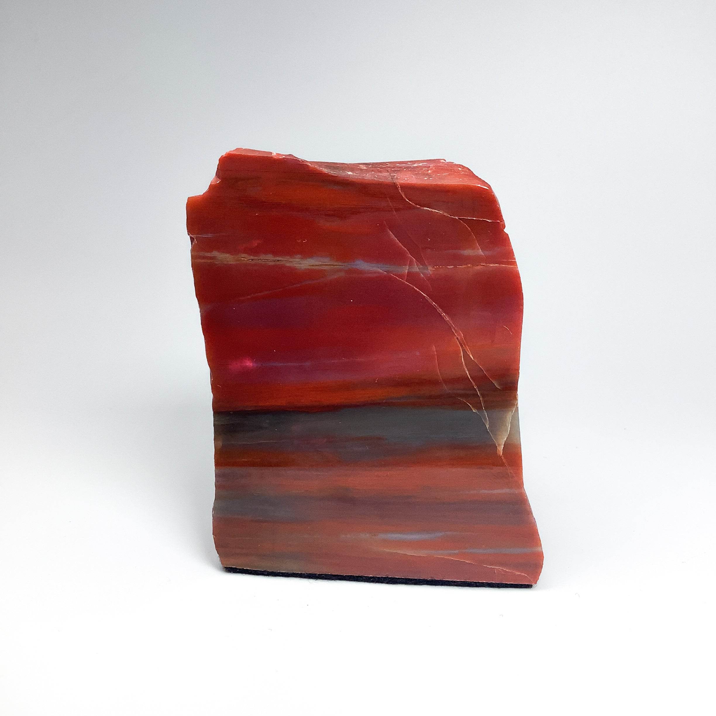 Petrified Wood Stand Up - Rocks and Gems Canada