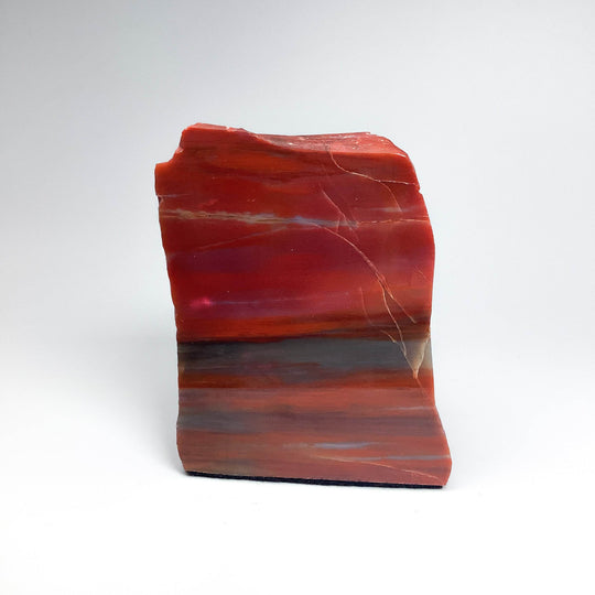 Petrified Wood Stand Up - Rocks and Gems Canada