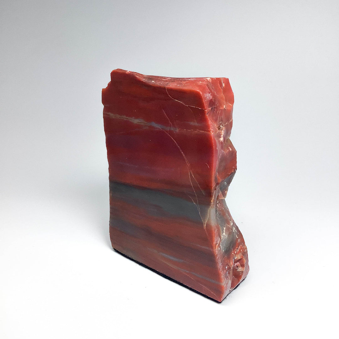Petrified Wood Stand Up - Rocks and Gems Canada