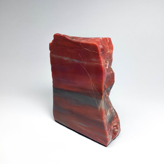 Petrified Wood Stand Up - Rocks and Gems Canada