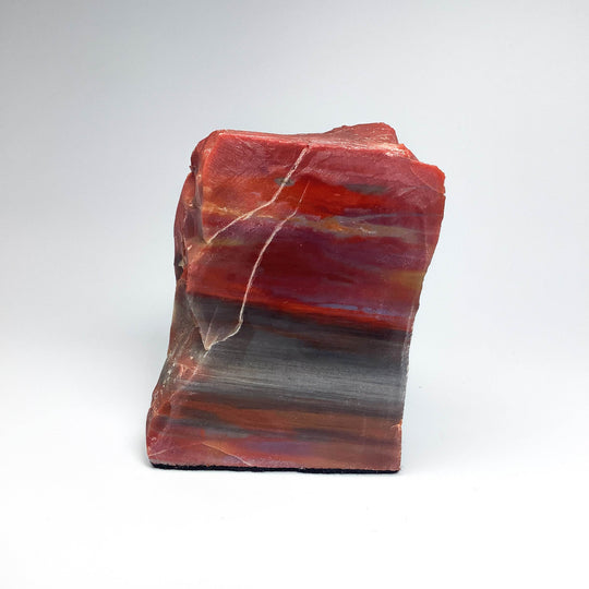 Petrified Wood Stand Up - Rocks and Gems Canada