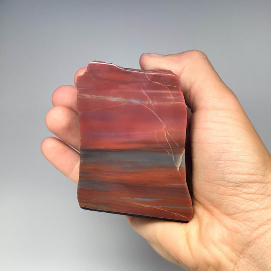Petrified Wood Stand Up - Rocks and Gems Canada