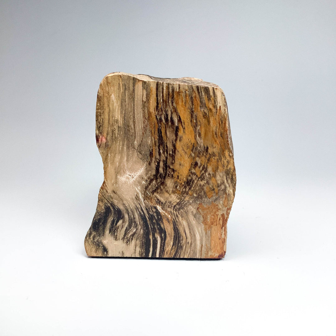 Petrified Wood Stand Up - Rocks and Gems Canada