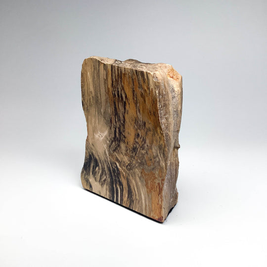 Petrified Wood Stand Up - Rocks and Gems Canada