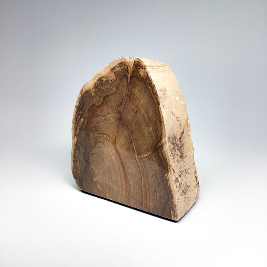 Petrified Wood Stand Up - Rocks and Gems Canada