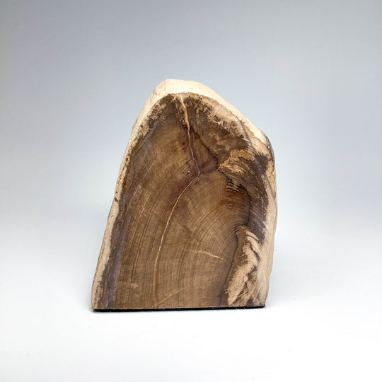 Petrified Wood Stand Up - Rocks and Gems Canada