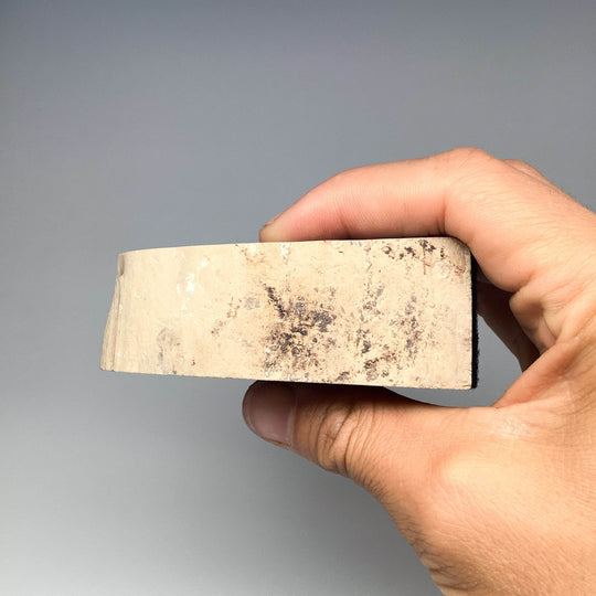 Petrified Wood Stand Up - Rocks and Gems Canada