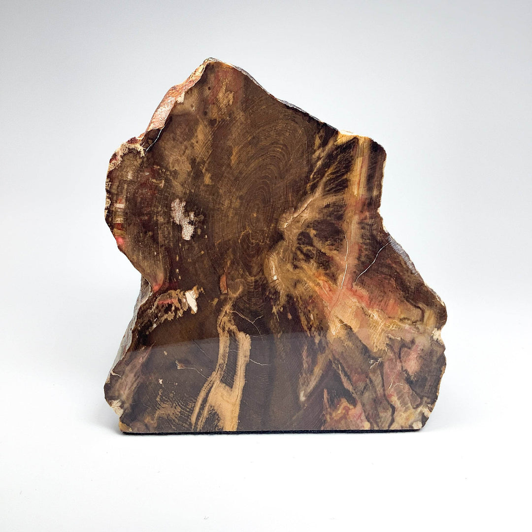 Petrified Wood Stand Up - Rocks and Gems Canada