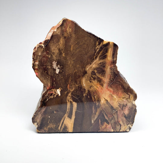 Petrified Wood Stand Up - Rocks and Gems Canada