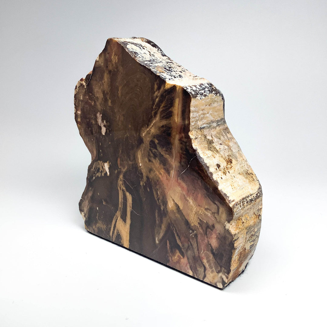 Petrified Wood Stand Up - Rocks and Gems Canada