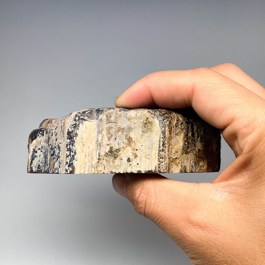 Petrified Wood Stand Up - Rocks and Gems Canada