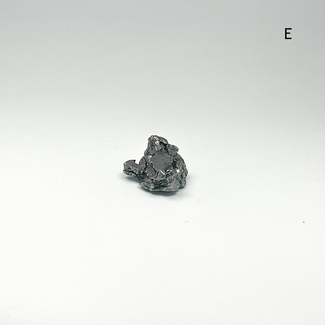 Campo Del Cielo Meteorite - Rocks and Gems Canada
