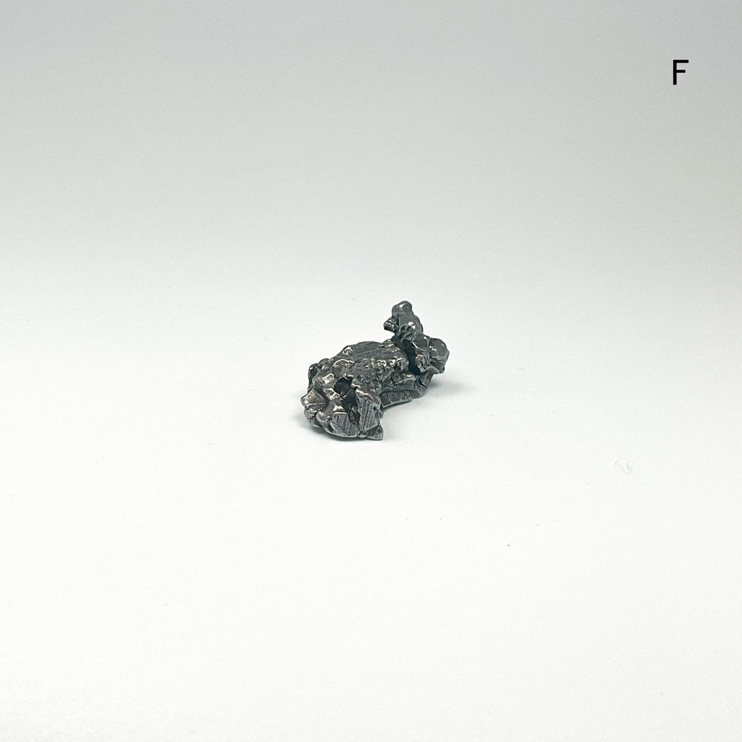Campo Del Cielo Meteorite - Rocks and Gems Canada