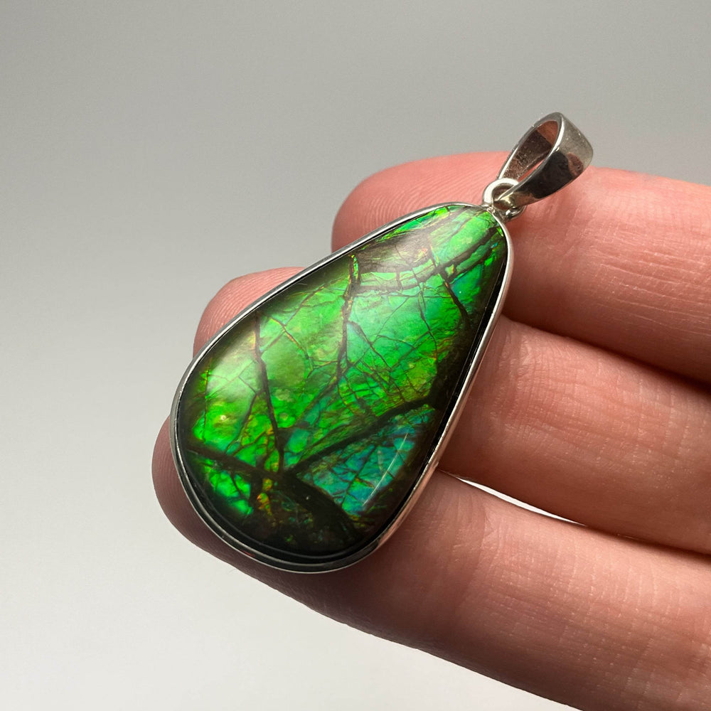 Alberta Ammolite Pendant - Rocks and Gems Canada