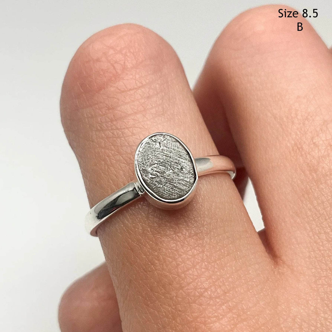 Muonionalusta Meteorite Ring - Rocks and Gems Canada