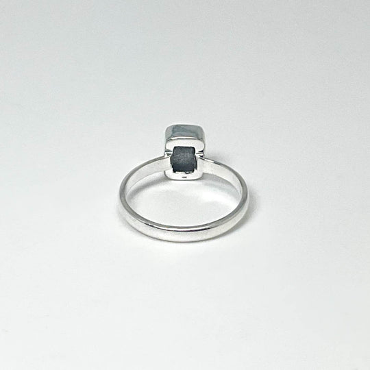 Muonionalusta Meteorite Ring - Rocks and Gems Canada