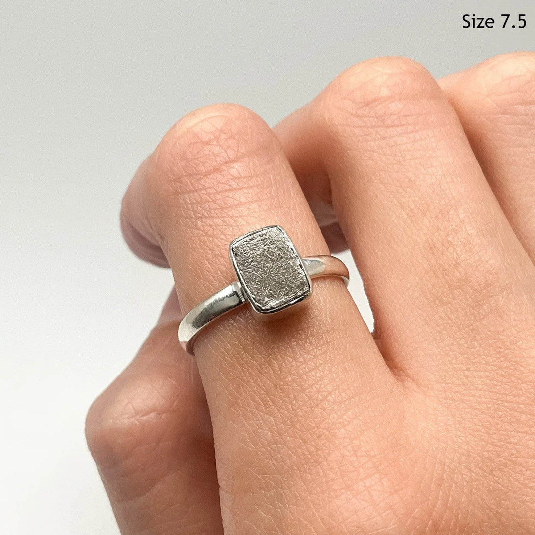 Muonionalusta Meteorite Ring - Rocks and Gems Canada