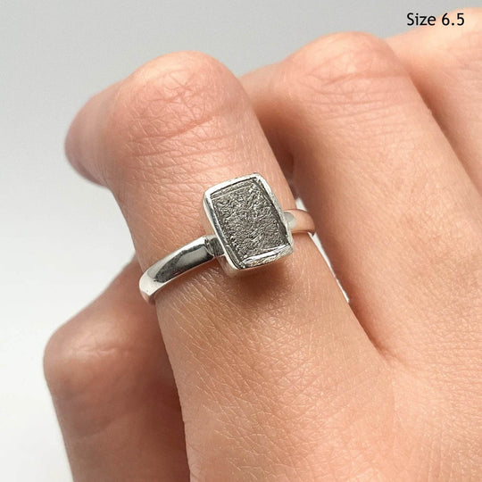 Muonionalusta Meteorite Ring - Rocks and Gems Canada