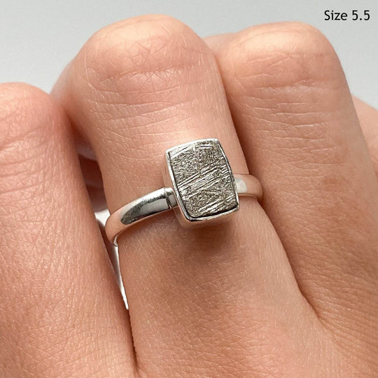 Muonionalusta Meteorite Ring - Rocks and Gems Canada