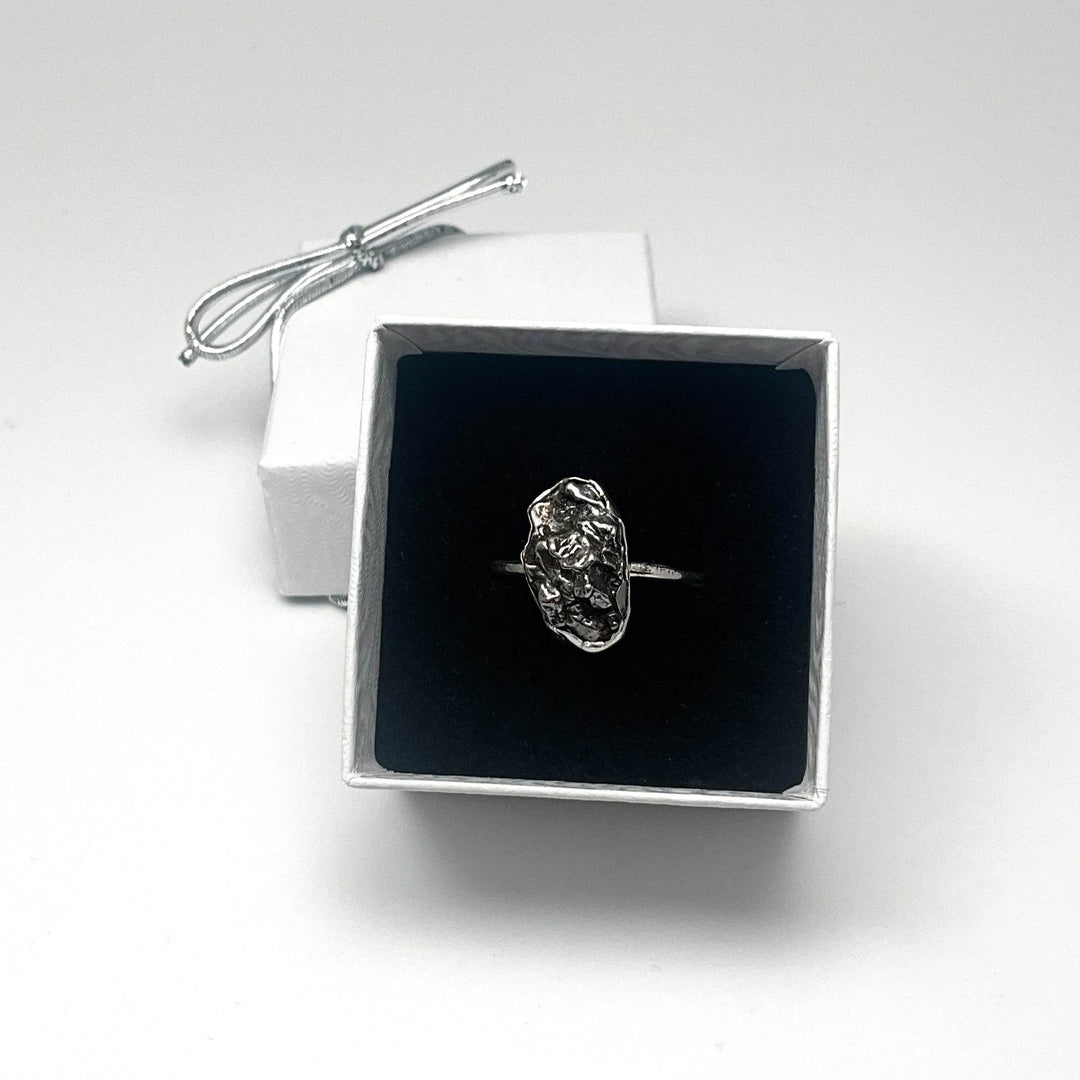 Campo Del Cielo Meteorite Ring - Rocks and Gems Canada