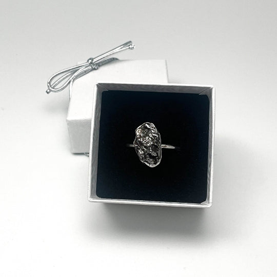 Campo Del Cielo Meteorite Ring - Rocks and Gems Canada