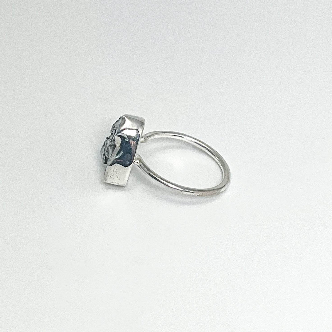 Campo Del Cielo Meteorite Ring - Rocks and Gems Canada
