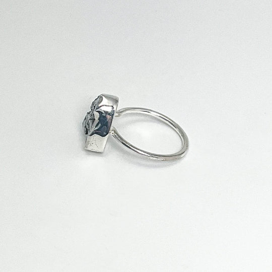 Campo Del Cielo Meteorite Ring - Rocks and Gems Canada