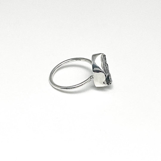 Campo Del Cielo Meteorite Ring - Rocks and Gems Canada
