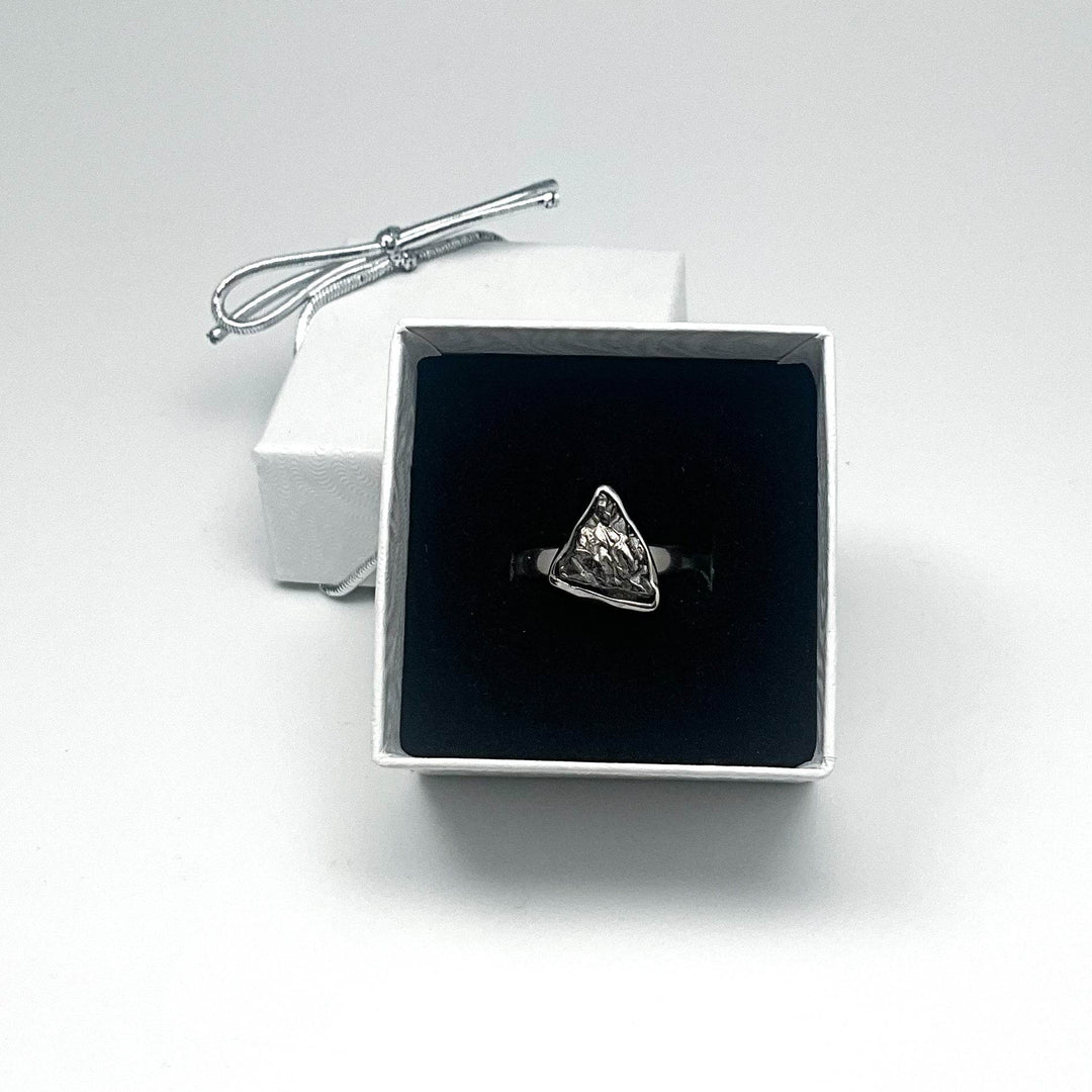 Campo Del Cielo Meteorite Ring - Rocks and Gems Canada