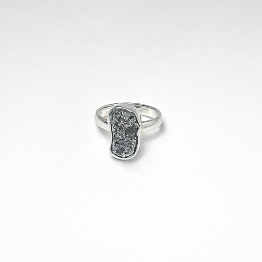 Campo Del Cielo Meteorite Ring - Rocks and Gems Canada