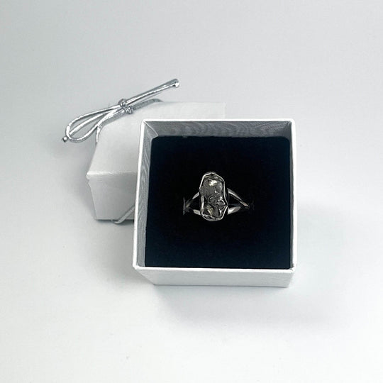 Campo Del Cielo Meteorite Ring - Rocks and Gems Canada