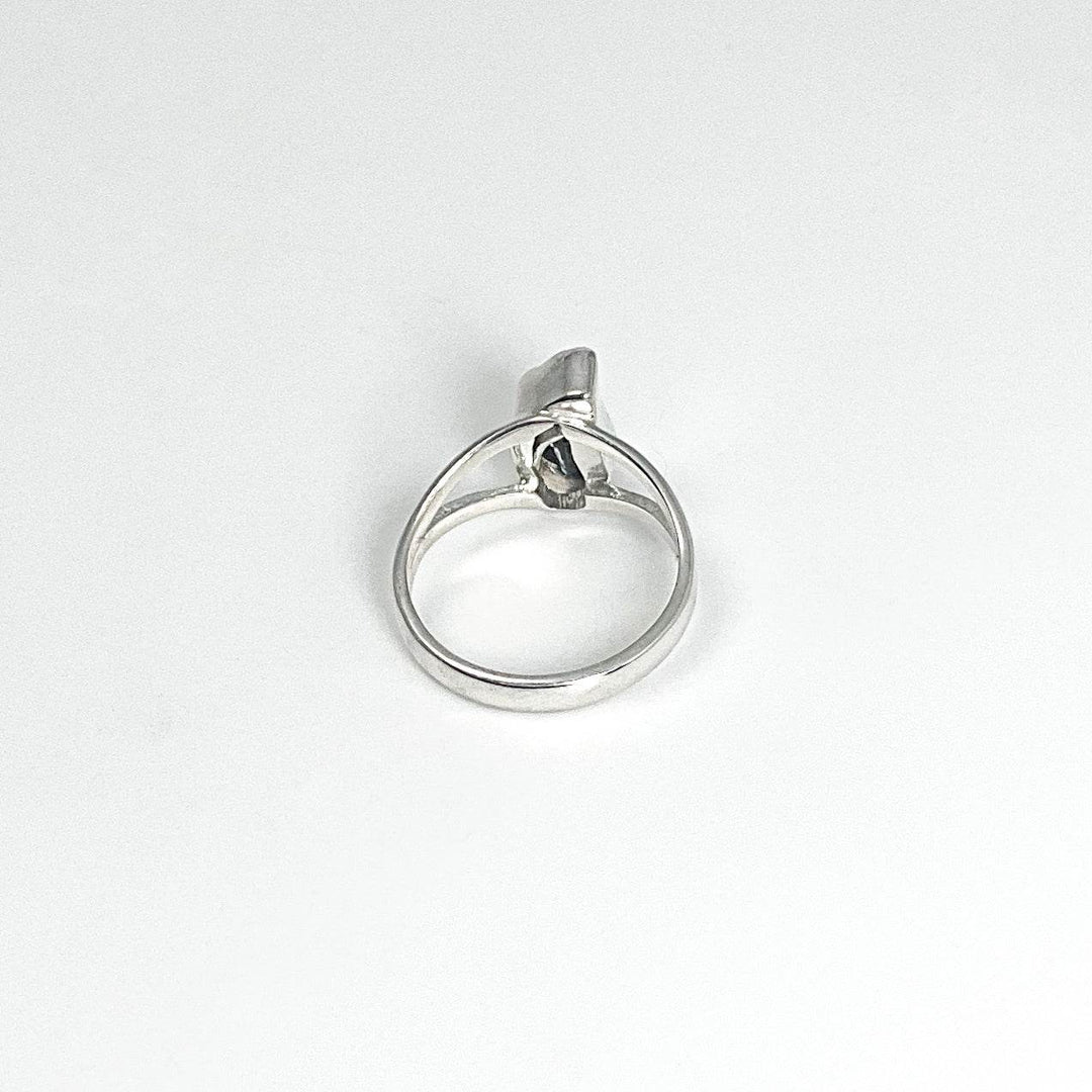 Campo Del Cielo Meteorite Ring - Rocks and Gems Canada