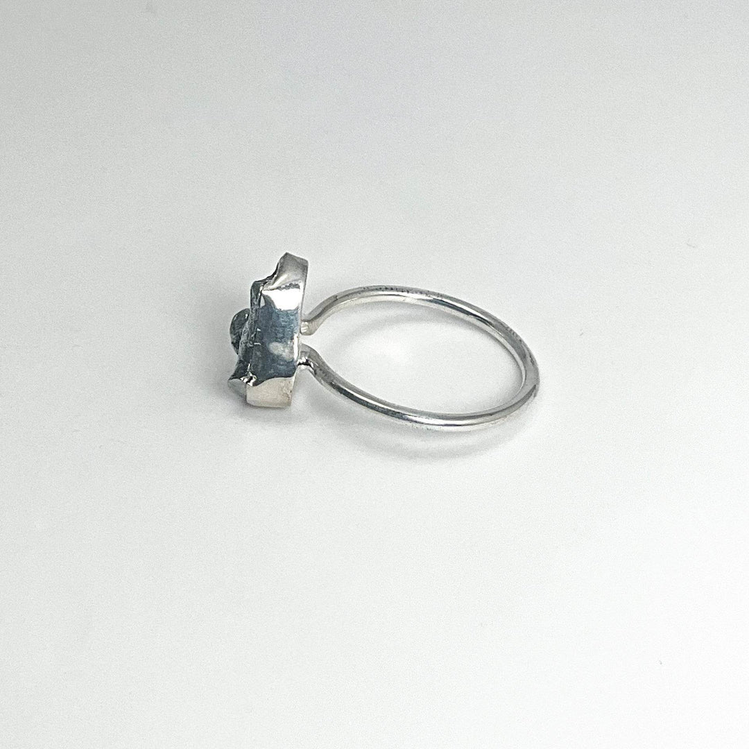 Campo Del Cielo Meteorite Ring - Rocks and Gems Canada
