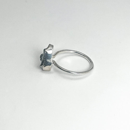 Campo Del Cielo Meteorite Ring - Rocks and Gems Canada
