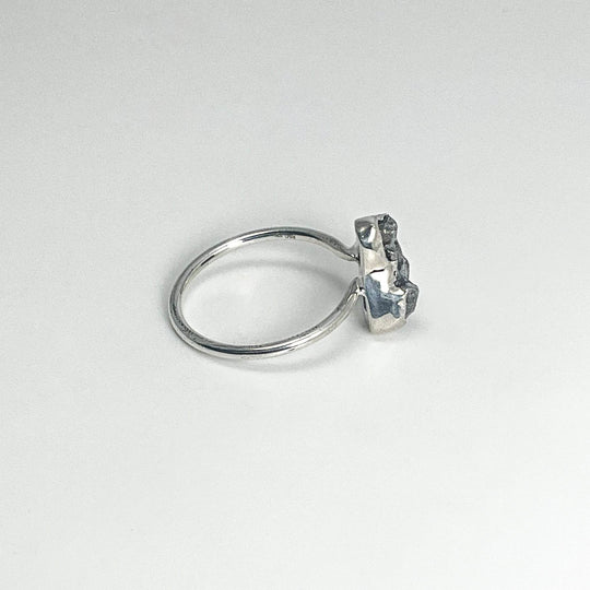 Campo Del Cielo Meteorite Ring - Rocks and Gems Canada
