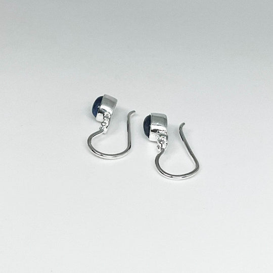 Sodalite Dangle Earrings - Rocks and Gems Canada