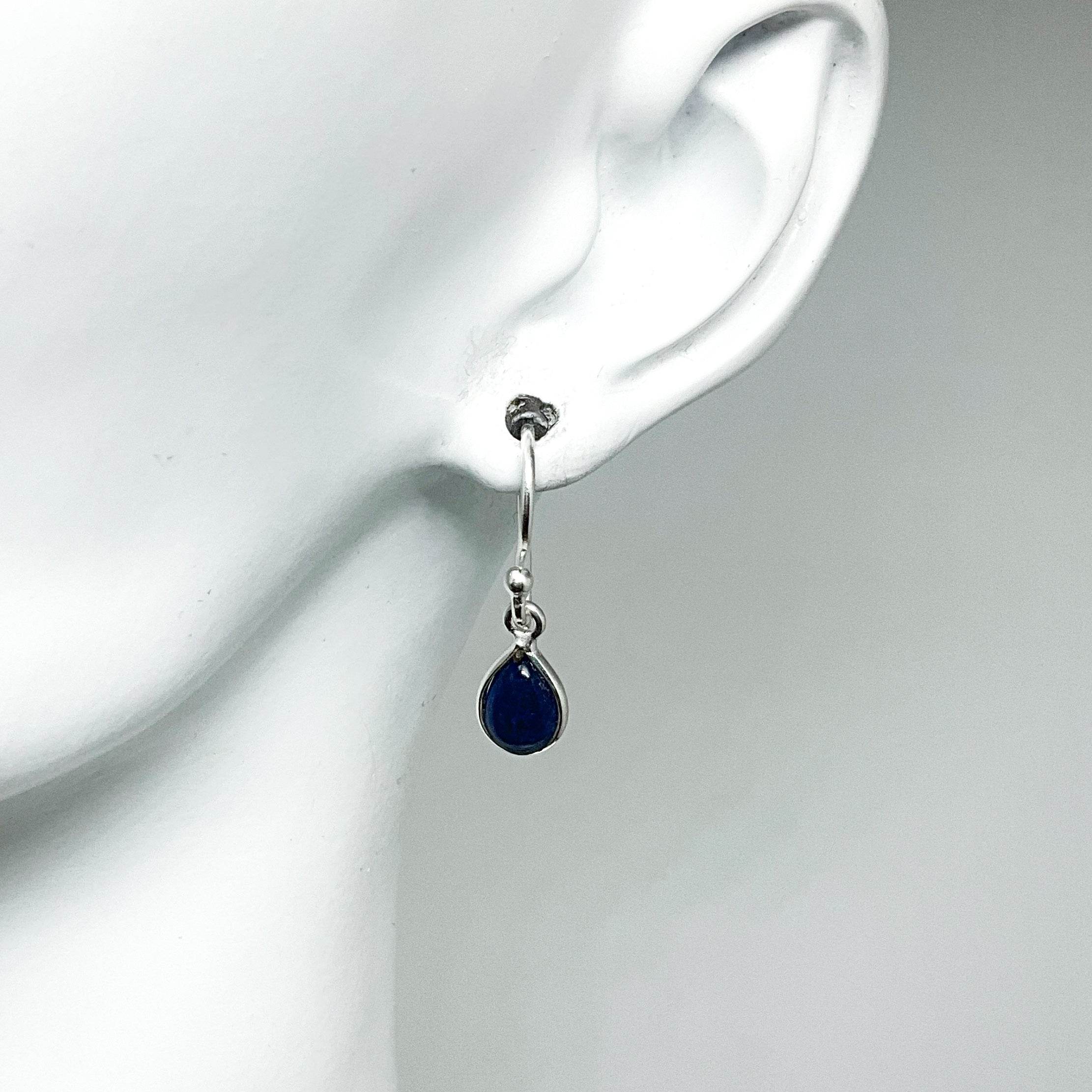 Sodalite Dangle Earrings - Rocks and Gems Canada