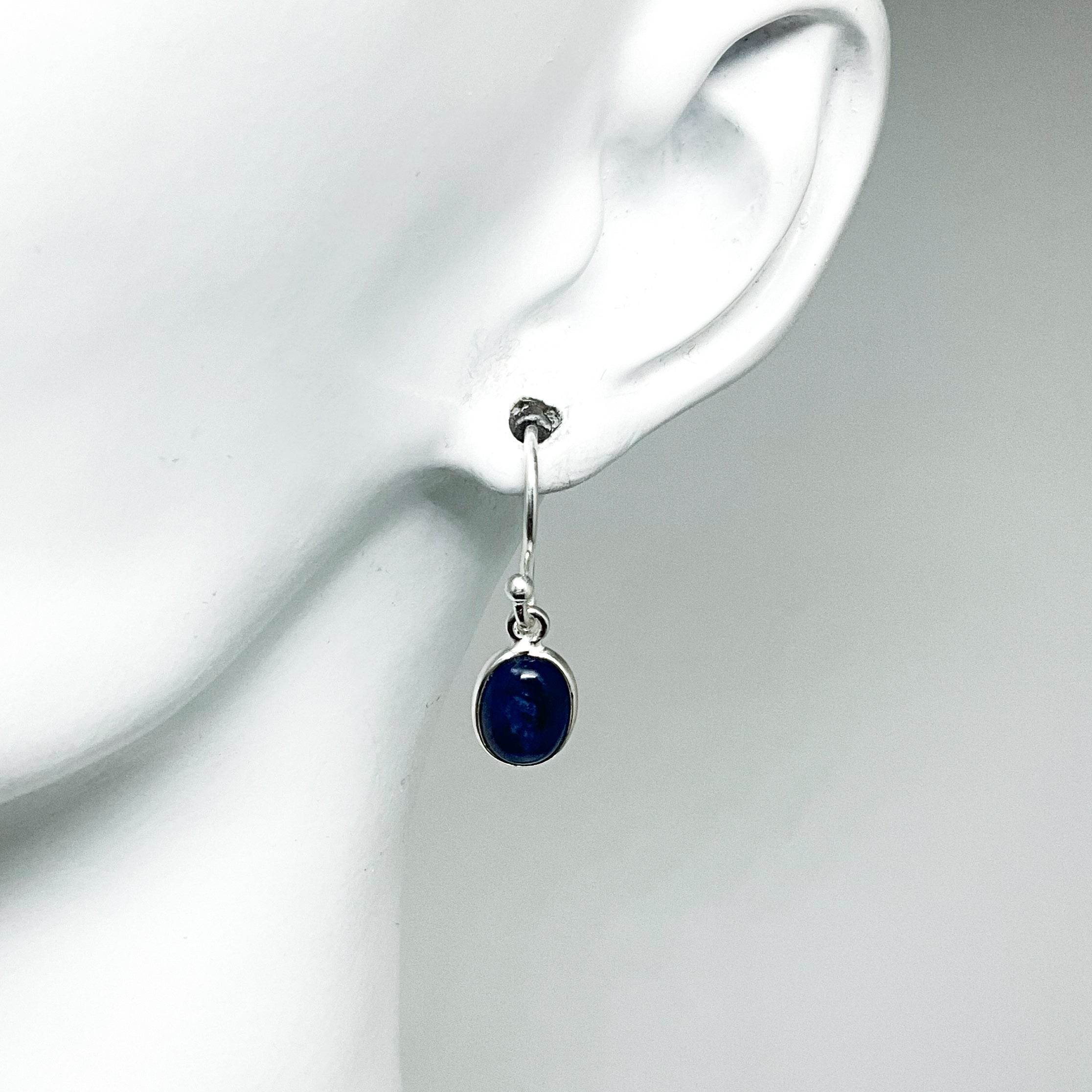 Sodalite Dangle Earrings - Rocks and Gems Canada