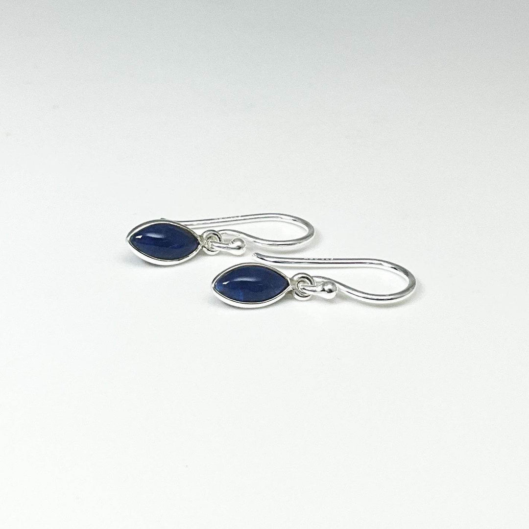 Sodalite Dangle Earrings - Rocks and Gems Canada