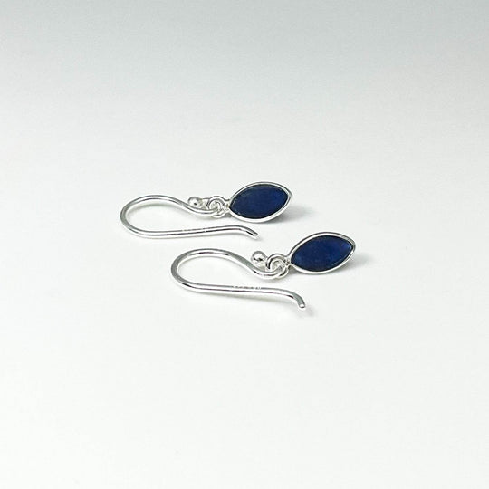 Sodalite Dangle Earrings - Rocks and Gems Canada