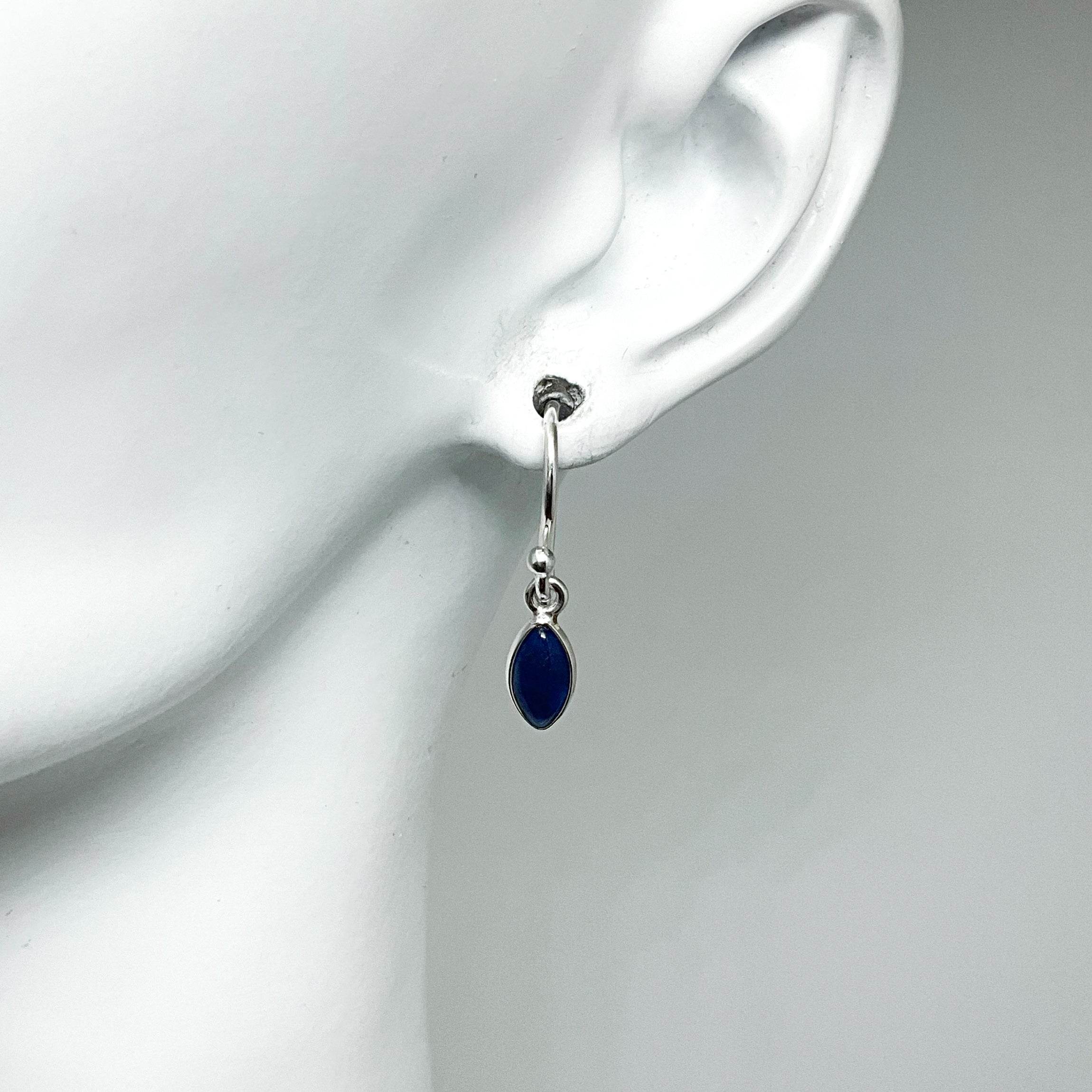 Sodalite Dangle Earrings - Rocks and Gems Canada