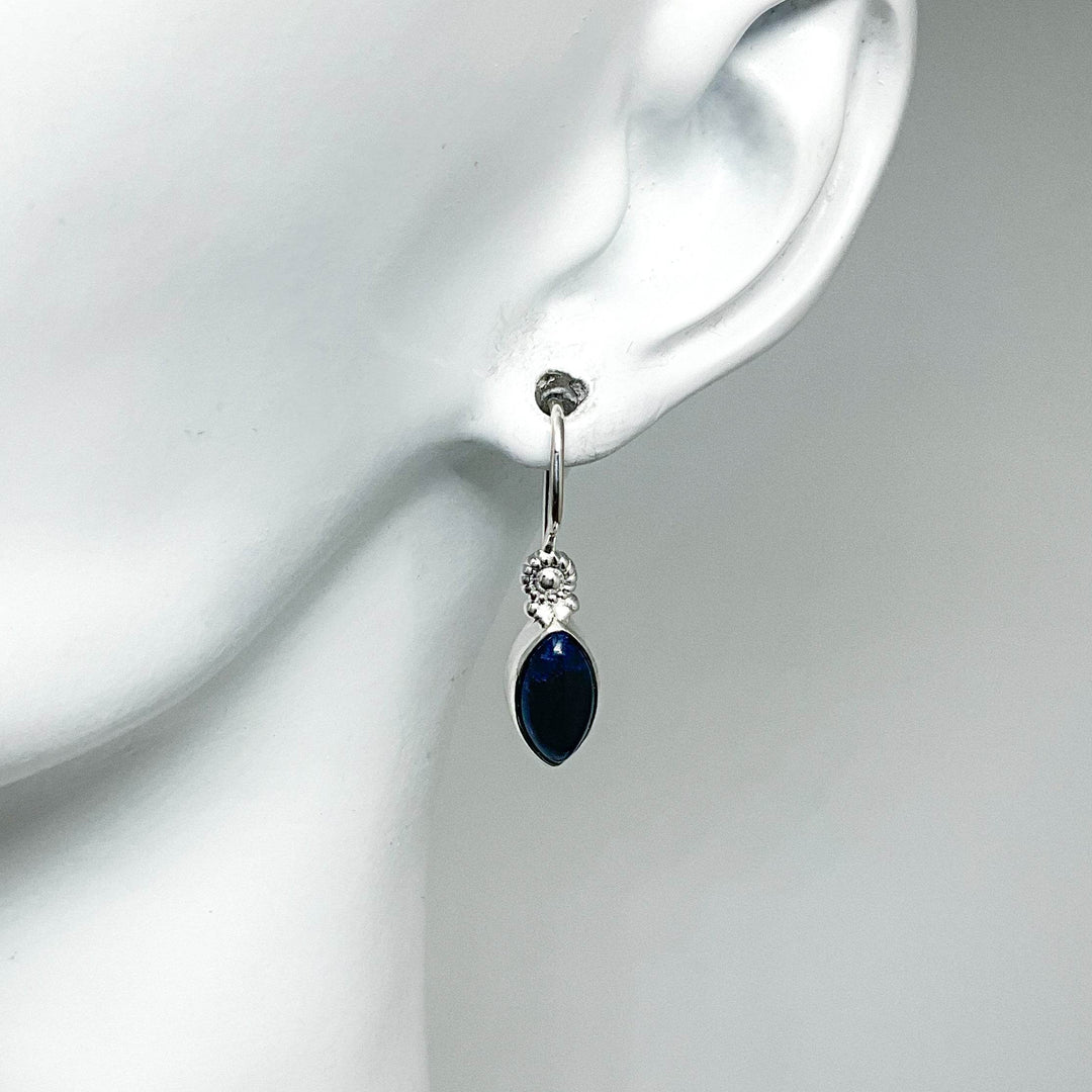 Sodalite Dangle Earrings - Rocks and Gems Canada