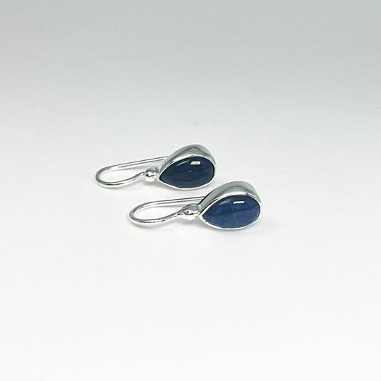 Sodalite Dangle Earrings - Rocks and Gems Canada